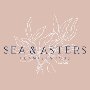 Sea & Asters